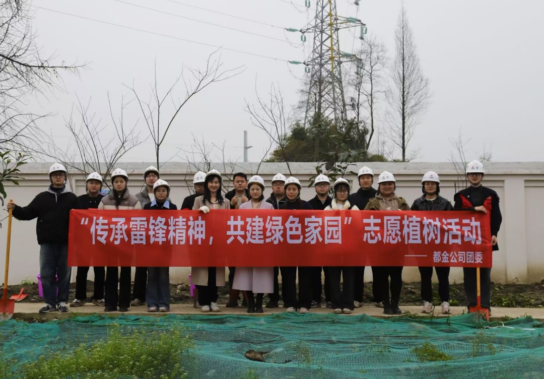 1741685696124336.jpg 3.jpg